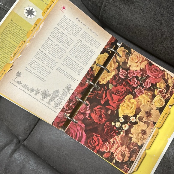 Vintage Better Homes and Gardens Garden Book 1954 - Picture 4 of 11